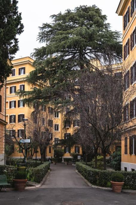 New Near Piazza Del Popolo Rome